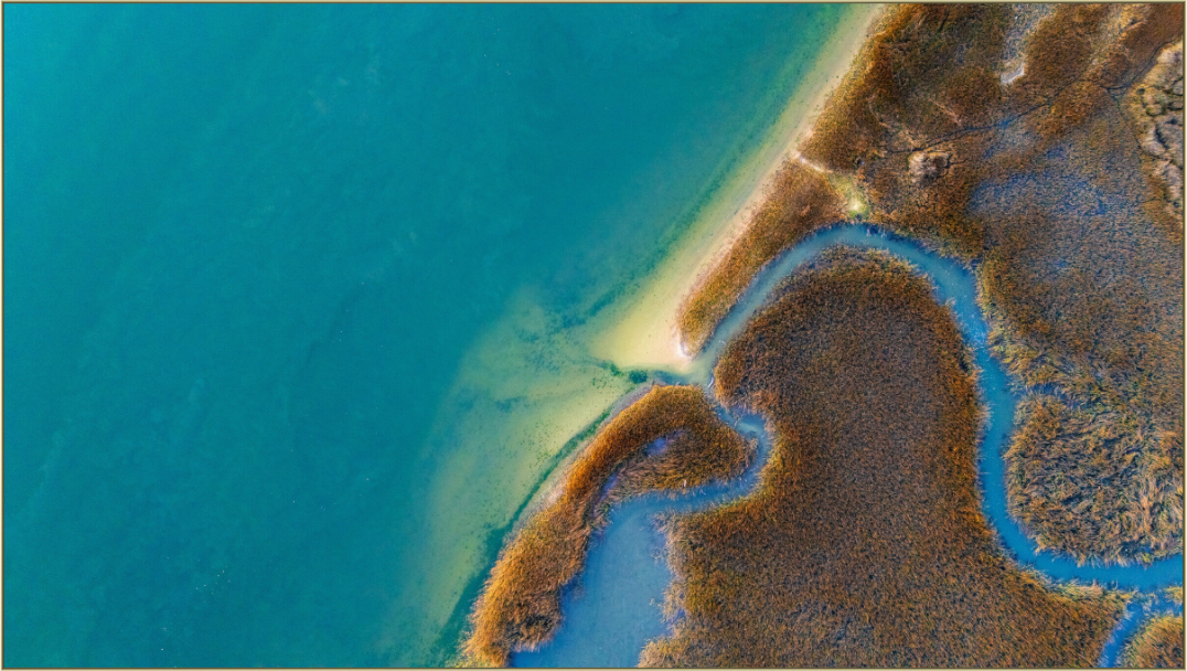 Main image Winter Waters in Charleston